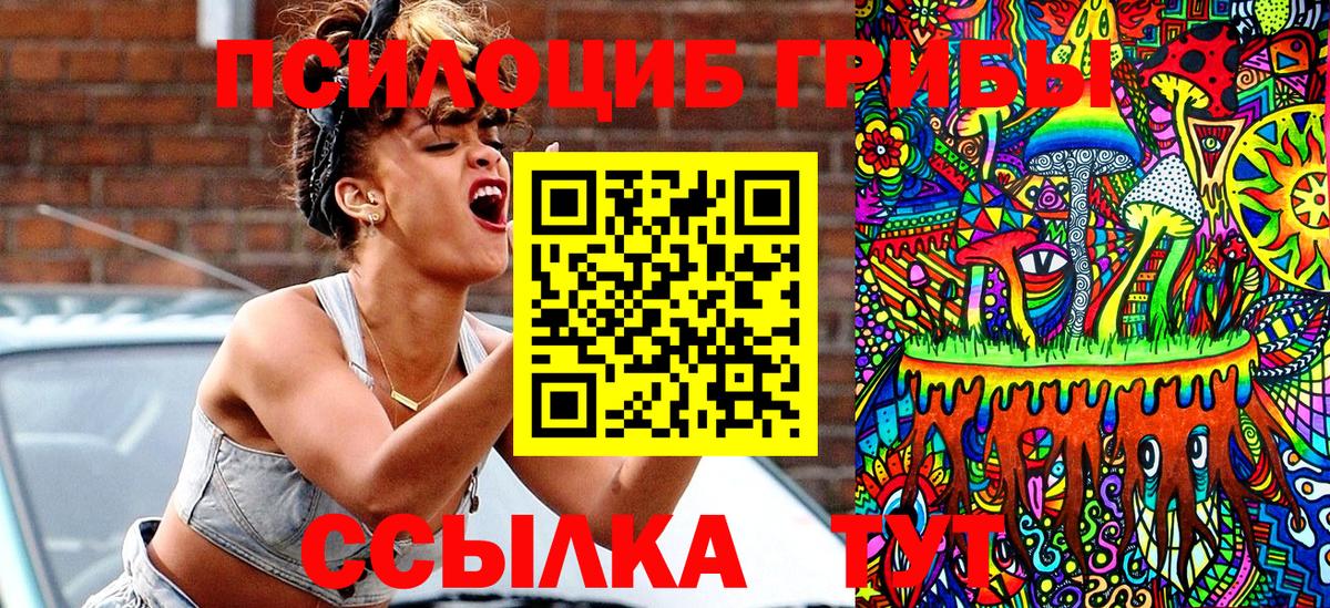 Псилоцибиновые грибы Psilocybe Ростов-на-Дону